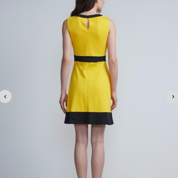 New York & Company Piped Flare Dress - City Knits - Picture 3 of 6